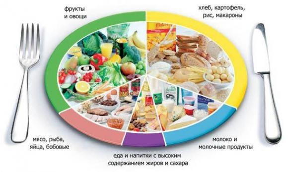 Чем кормить школьника?.